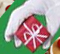 Holiday Giving