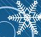 Winter Celebrations