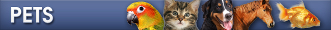 Pets page