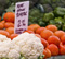 Medford's co-op quest