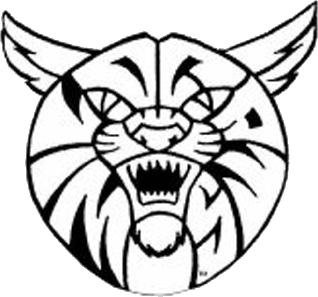 Westport Wildcats - southcoasttoday.com - New Bedford, MA